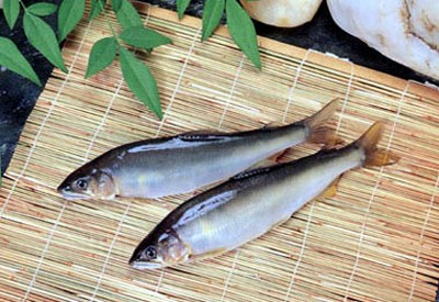赤倉温泉を流れる清流「小国川（おぐにがわ）」で獲れた鮎を、「甘露煮」または「ねぎ味噌焼き」でご提供します。